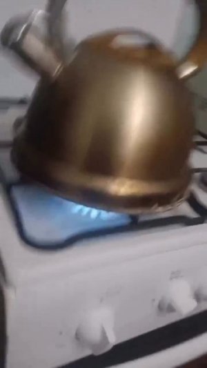 Чайник из преисподней 🤯 (звук)