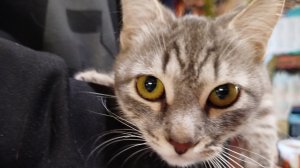 Влог: 28.02.2026 года.