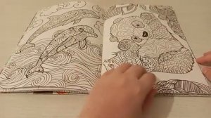 Раскраска антистресс Обзор