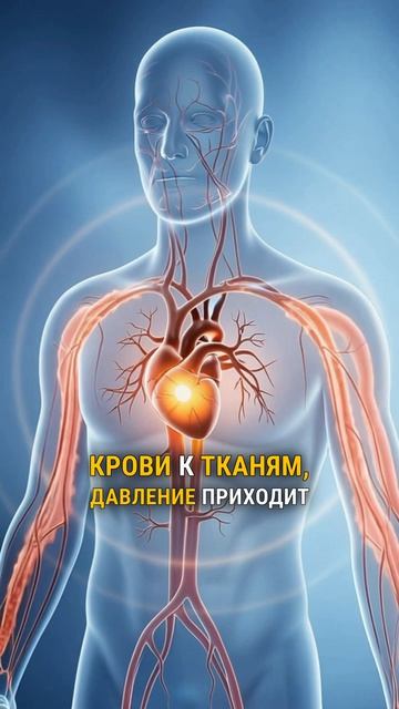 Знали, что сауна работает как лёгкая тренировка?