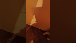 Массаж для Тимоши 😊