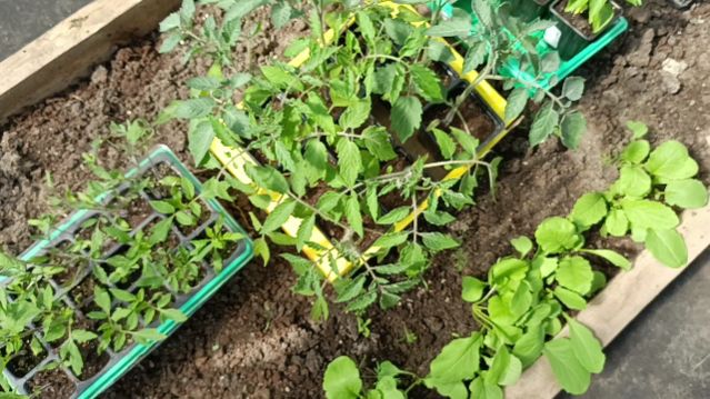 Да, всеё хорошо, а будет еще лучше.