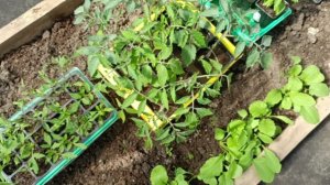 Да, всеё хорошо, а будет еще лучше.