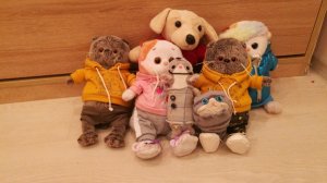 Школа басиков 2026 год