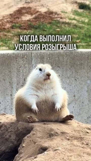 Как поехать в санаторий бесплатно? подробнее в нашем ТГК или Max! ссылка на соцсети в шапке профиля