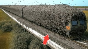 Самые невероятные моменты  попавшие на видеокамеру.