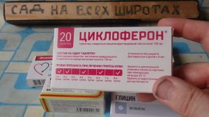 АПТЕКА РУЛИТ ТАБЛЕТКИ  ДЛЯ ЗДОРОВЬЯ