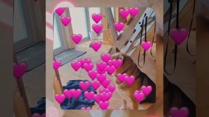 1000055313.mp4 (Собака наблюдает за устройством лестницы на 2-ой этаж в доме А-фрейм)