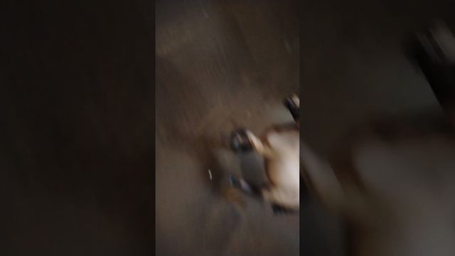 Шляйх сериал магическая школа 3серия. 1сезона драка