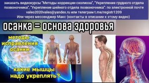 Грудной сколиоз (как и сутулость) вредит сердцу, лёгким, селезёнке. Упражнения