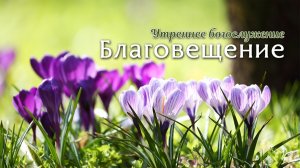 7 апреля 2026 (утро) / Благовещение / Церковь Спасение