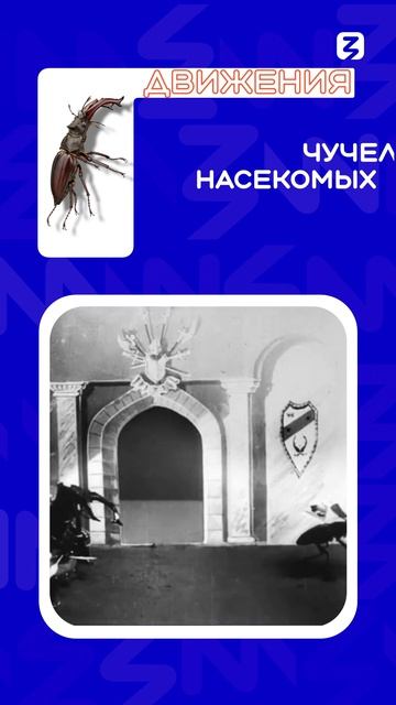 Первый российский мультфильм: как он выглядел