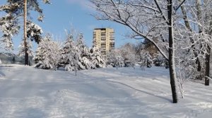 582. Хабаровск. Пушкина 40 -ТЦ Большая Медведица. 07.04.26.