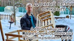 Дачный сезон открыт. Делаем ящики. Обрезаем гортензии. Приоткрываем розы