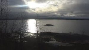 ЕСТЬ КОРЮШКА!РЫБАЛКА В СВОЁМ МОРСКОМ МАГАЗИНЕ ИЗ КОЛЬЕВ!