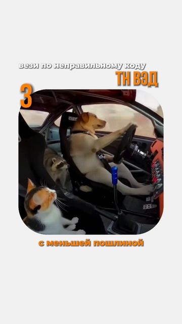 Вы думали, что импортировать товар из Китая — это как футболку на маркетплейсе заказать?