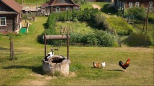 хутор Ломы, 2024 год