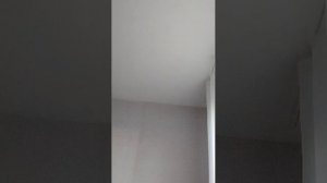 делаю сквишы