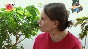 Александр Г., 2010 г.р.