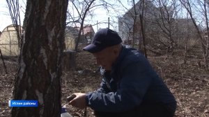 Ҡайын ағас тал булмаҫ, ҡайын һыуы бал булмаҫ!