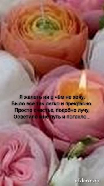 ВОТ И ВСЁ (ПЕСНИ SUNO)
