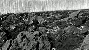 1974 год. Тюменская область. Весна в полях