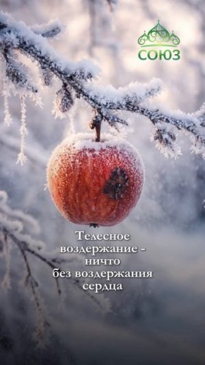 Утренние поучения о посте без сердца