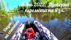 ✅🟥 Видео с Ютьюбе. 2022г. Первый опыт установки и проверки перемёта на Язя. Окунь на спиннинг.