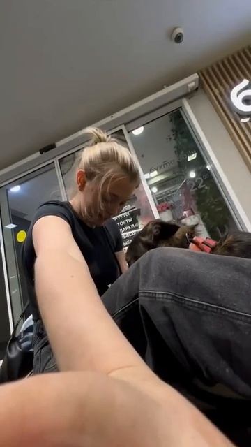 🚗  Как Веня из приюта в магазин за подарками ездил