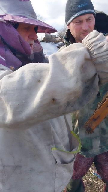 у нас новый пчеловод