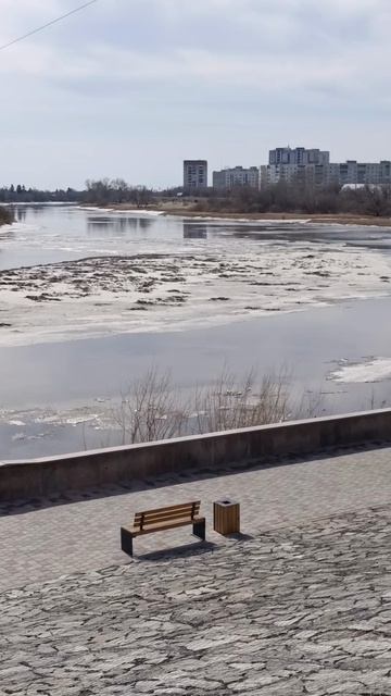 🌸Город просыпается🌿весна на набережной Тобола.Курган 🌊 #весна #природа #прогулка #spring #nature