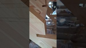 1000055235.mp4 (Собака наблюдает за устройством лестницы на 2-ой этаж в доме А-фрейм)