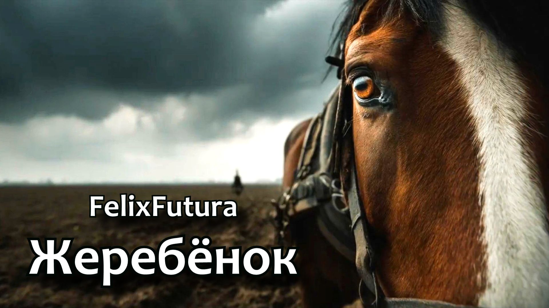 FelixFutura   Жеребёнок, Россия, история, премьера клипа, Music Video, Horses, Rock Song