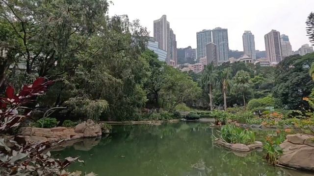 Гонконг, День 2: пугающее здание, парк-оазис и шок цены на еду!