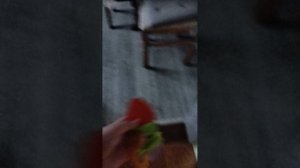 влог у бабушки