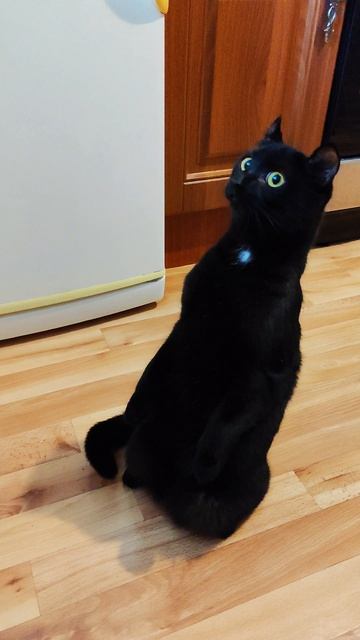 А кто это у нас тут такой мальчуганчик?