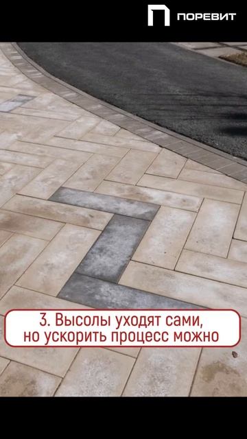 Высолы на тротуарной плитке: как убрать? высолы - это брак? высолы и долговечность плитки