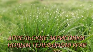 Апрель в Волжском. Дачные зарисовки✅