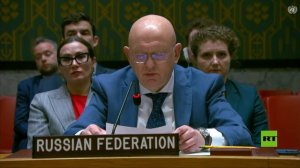 نيبينزيا:  لم نتمكن من دعم نص من شأنه أن يشكل سابقة خطيرة للقانون الدولي