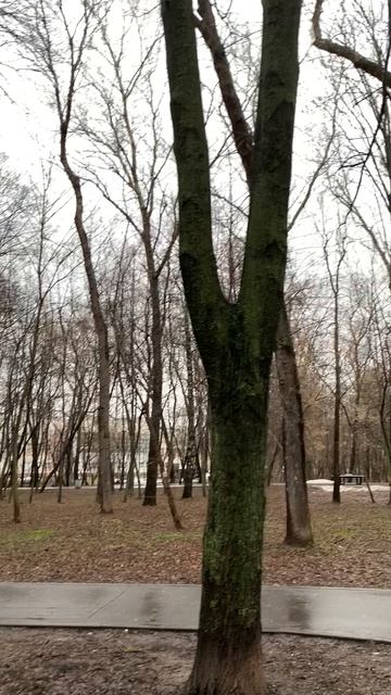 Парк Станкозавода, Н.Новгород №2