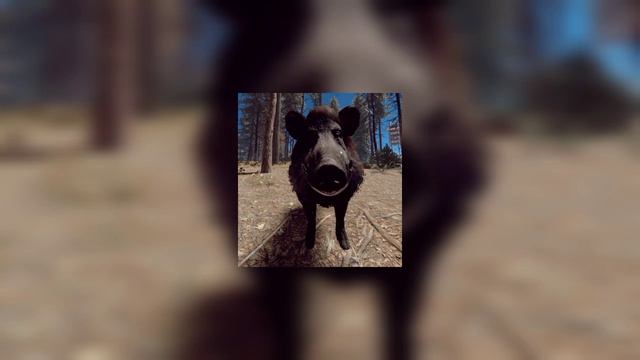 (Премьера) САМОКАТ [EXTENDED] — 🐗Kaban The Killer🐷, 72 STUNT (Ft. Ридан) (Official Music Video)