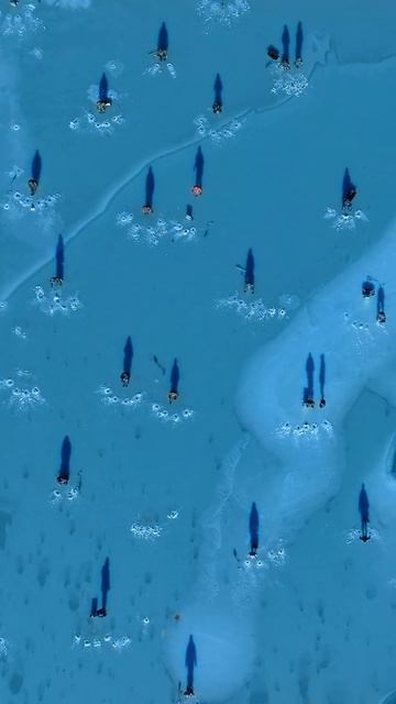 Одно из хобби жителей Владивостока