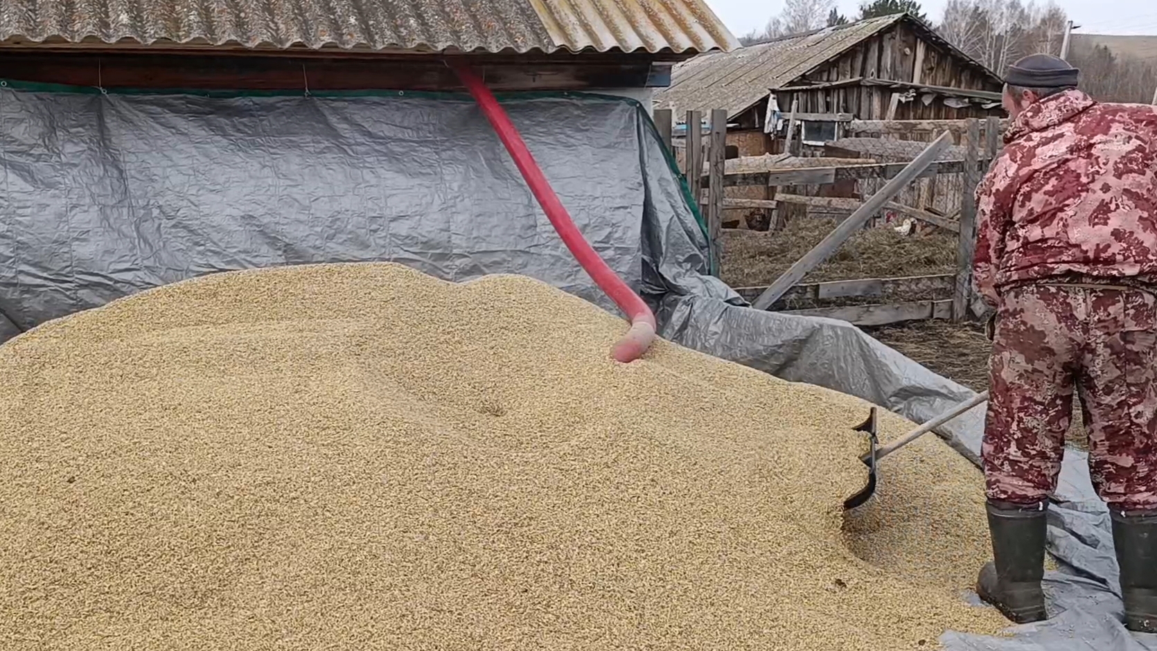 Купили гибкий шнек для зернаПервая проверка