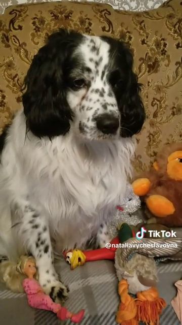 Игрушки...)))