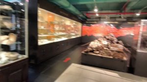 Начало экскурсии 07.04.26.