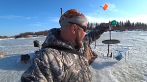 СГОНЯЛИ КАК В МАГАЗИН, СНЯЛИ КАК С КУСТА! УТРЕННЯЯ ПРОВЕРКА ЖЕРЛИЦ, САМАЯ ВКУСНАЯ ЩУКУ часть 6