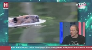 Александр Рогуленко. День бобра | УТРО ПЕРВЫХ