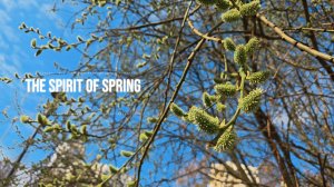 Весенняя природа 🌱 Расслабляющая музыка ~ Relax ~ Спокойная фоновая музыка