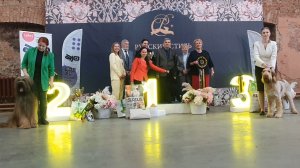 14.03.2026, СПб. Клуб "РУССКИЙ СТИЛЬ-1" (РКФ, РФСС). Выставка собак "ЦАРСКАЯ ОХОТА" (CAC, ЧФ)