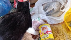 Главный распаковщик Мухамор